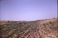 MHGS_Leach_1165.jpg