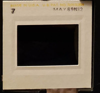 MHGS_Leach_1167_slide.jpg