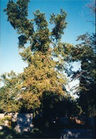 MHGS_Leach_1564.jpg