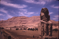 MHGS_Leach_1116.jpg
