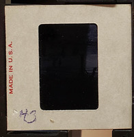 MHGS_Cotton_0614_slide.jpg