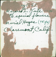 MHGS_Leach_1773_back.jpg
