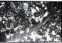 MHGS_Basore_Album _B_FP_177.jpg