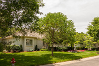MHGS_Snapshot_002382.jpg