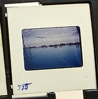 MHGS_Cotton_1001_slide.jpg