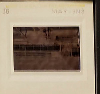 MHGS_Leach_1125_slides.jpg