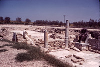MHGS_Leach_1135.jpg