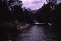 MHGS_Leach_1150.jpg