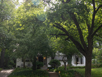 MHGS_Snapshot_001274.jpg