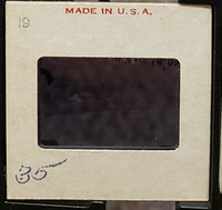 MHGS_Cotton_0606_slide.jpg