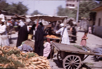 MHGS_Leach_1072.jpg