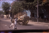 MHGS_Leach_1065.jpg
