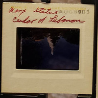 MHGS_Leach_1084_slide.jpg