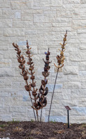 MHGS_Snapshot_005620.jpg