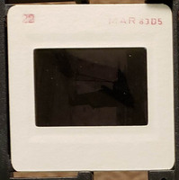 MHGS_Leach_0906_slide.jpg