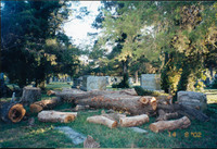 MHGS_Leach_1562.jpg