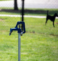 Valley Center Dog Park 2.jpg