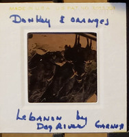 MHGS_Leach_1088_slide.jpg