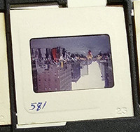MHGS_Cotton_0997_slide.jpg