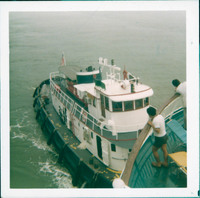 MHGS_Stump_0518.jpg MHGS_Stump_0518.jpg