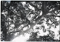 MHGS_Basore_Album _B_FP_178.jpg