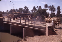 MHGS_Leach_1120.jpg