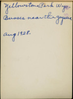 MHGS_Leach_1263_back.jpg