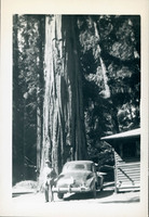 MHGS_Leach_2905.jpg